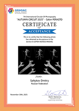 FIAP Accepted