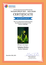 FIAP Accepted