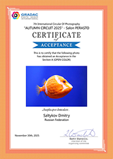 FIAP Accepted