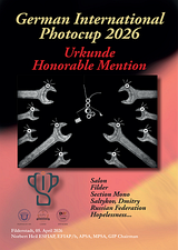 Honorable Mention