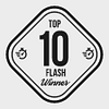 TOP 10 Flash Photos