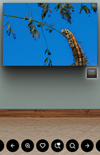 Gallerist