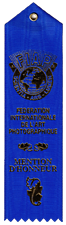 FIAP Ribbon