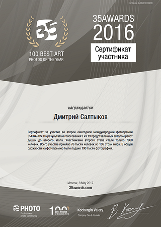 Сертификат Участник 35AWARDS