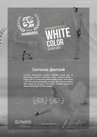 Сертификат 35AWARDS Белый цвет