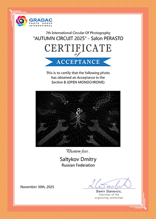 Сертификат Accepted