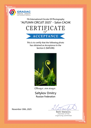 Сертификат Accepted