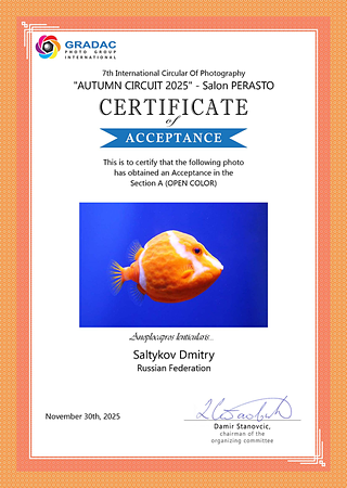 Сертификат Accepted