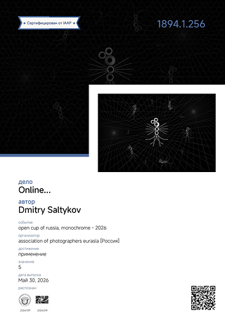Сертификат Accepted