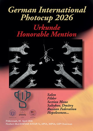 Сертификат Honorable Mention