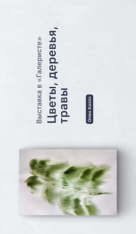 Афиша Галерист