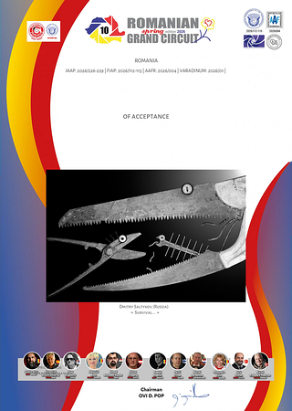 Сертификат Accepted