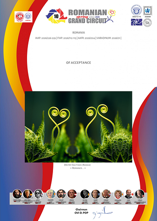 Сертификат Accepted