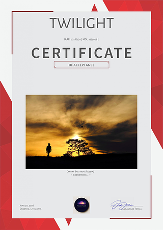 Сертификат Accepted