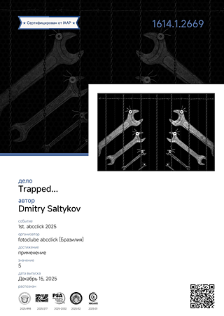 Сертификат Accepted