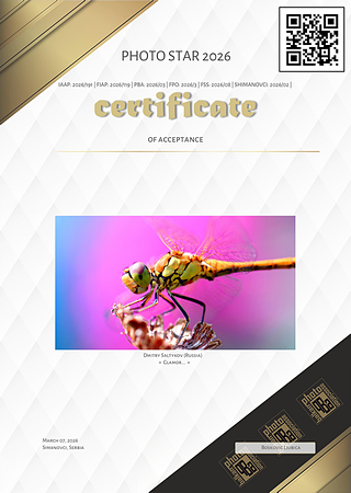 Сертификат Accepted