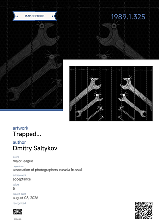 Сертификат Accepted