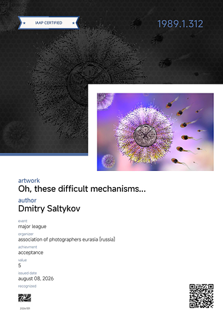 Сертификат Accepted