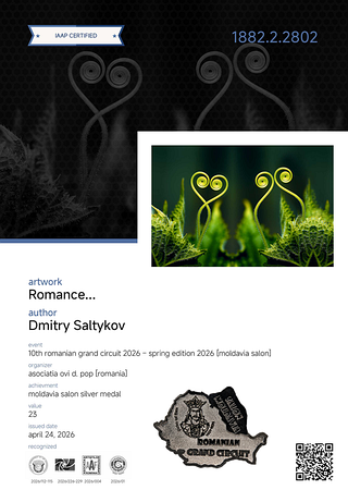 Сертификат Moldavia Salon Silver Medal
