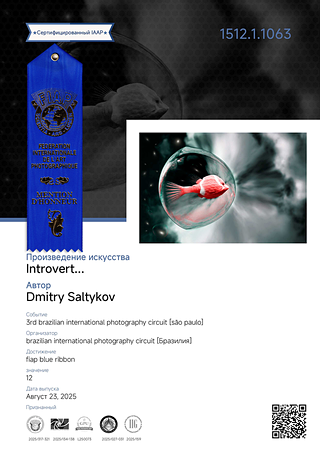 Сертификат FIAP Blue Ribbon