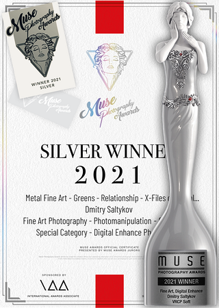 Silver Statuette and Certificate