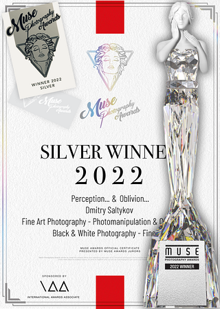 Silver Winner Certificate